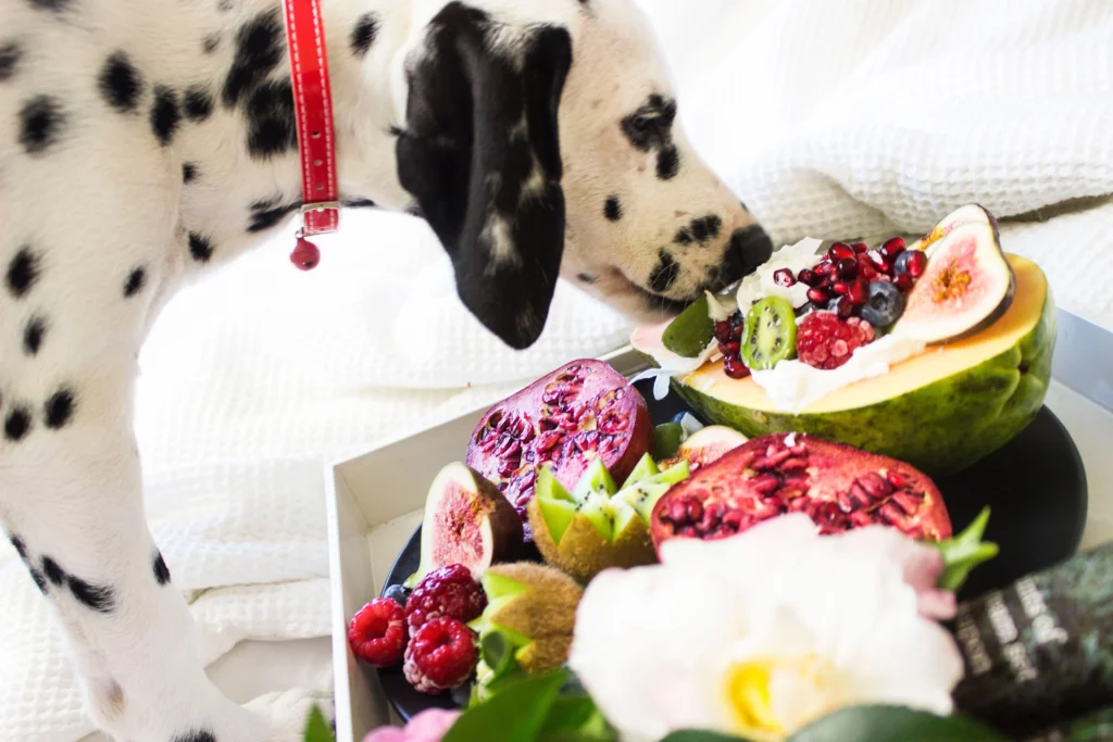 A dog enjoying a refreshing drink from the best dog foods for allergies, emphasizing the importance of hydration in managing allergies.