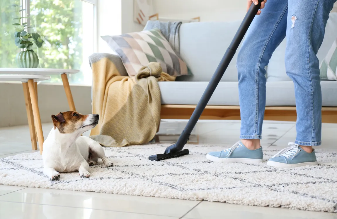 Professional carpet cleaning service