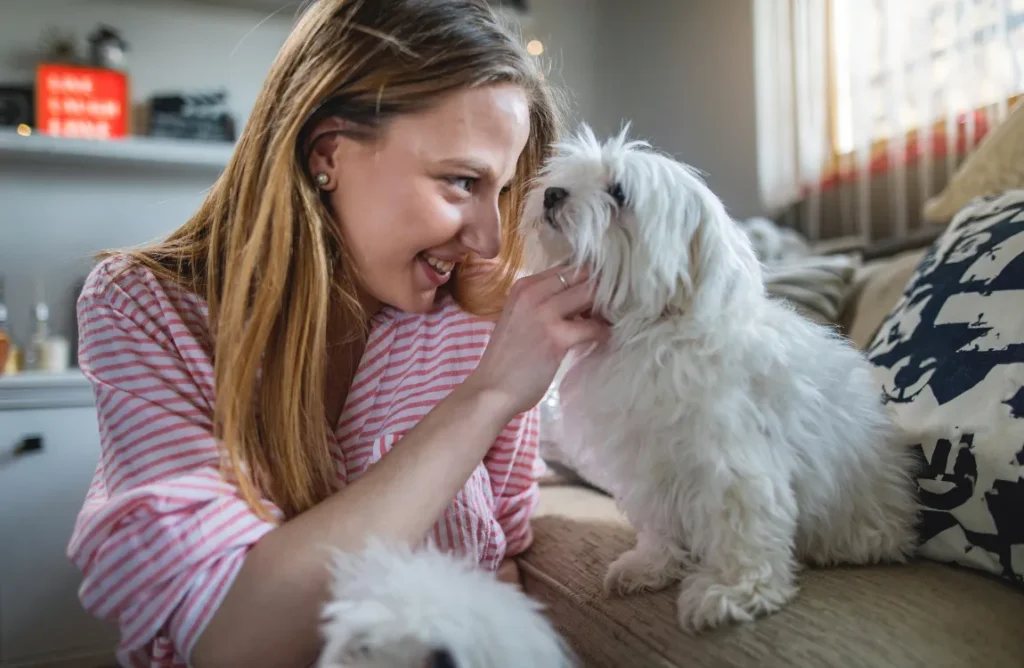 Preparing a space in your home for a foster dog