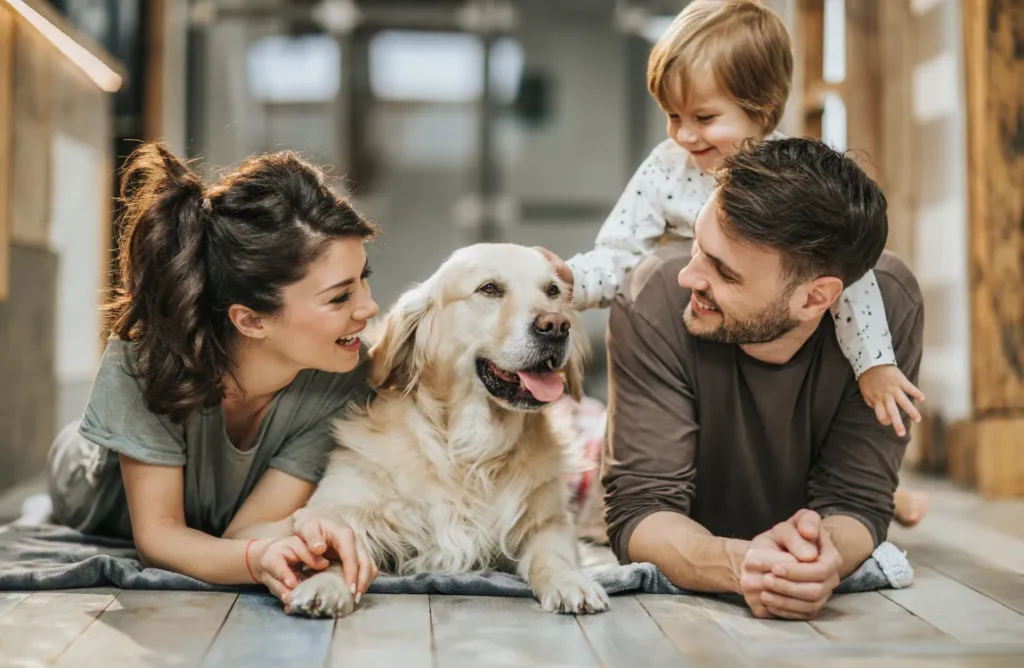 Novice foster giving love and care to their foster dog